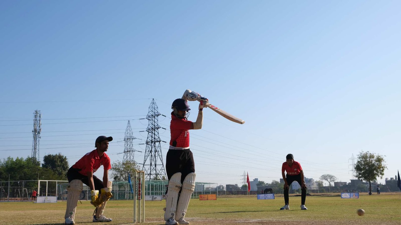 cricket2